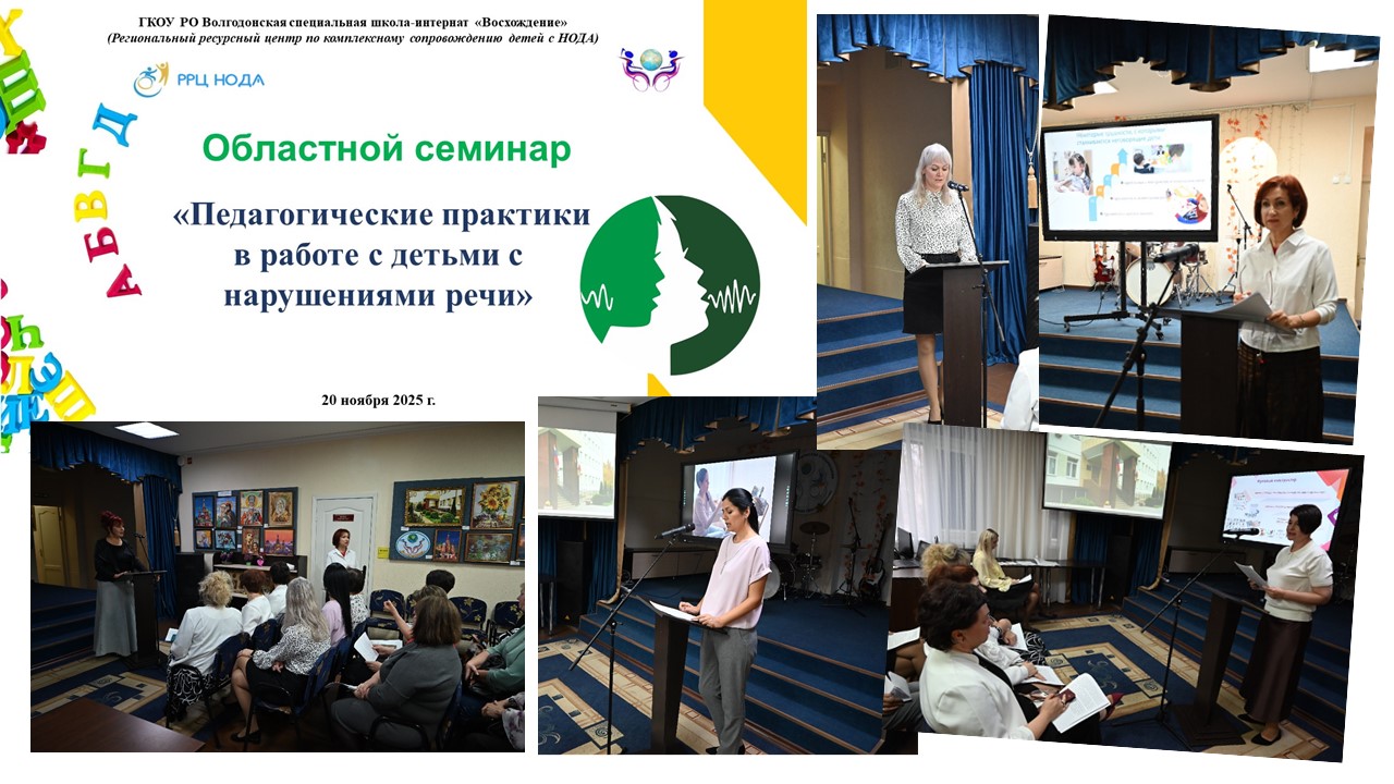 В школе прошел областной семинар  «Педагогические практики в работе с детьми с нарушениями речи»
